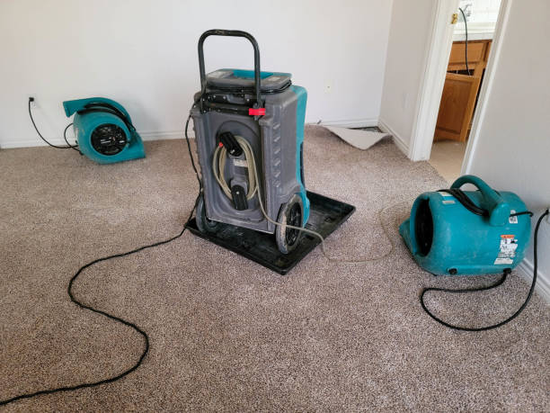 Best Water damage contractors near me  in Ames Lake, WA