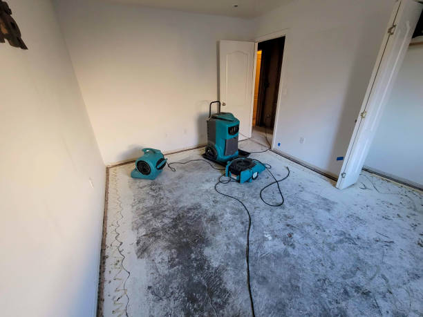 Best 24-hour water damage restoration  in Ames Lake, WA